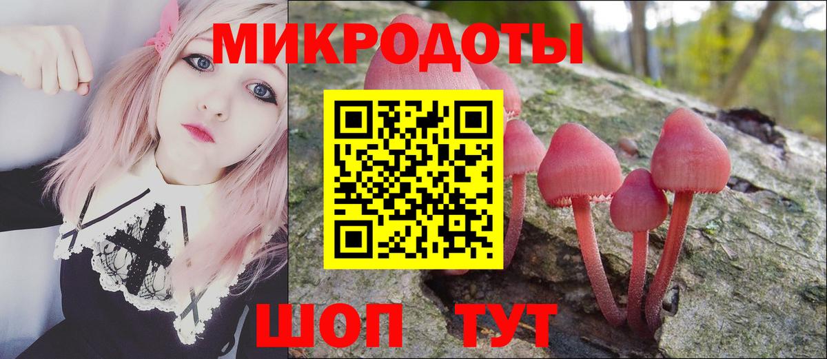 Псилоцибиновые грибы Psilocybe Ипатово
